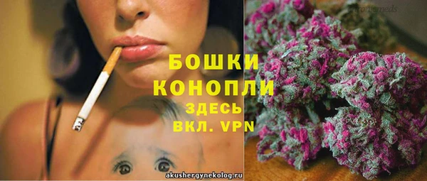 PSILOCYBIN Баксан
