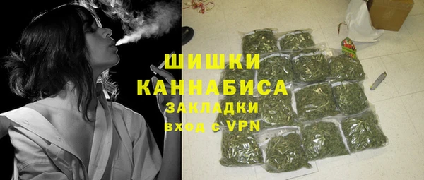 PSILOCYBIN Баксан