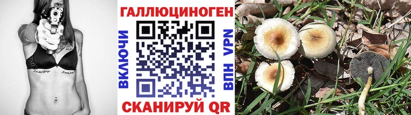 Галлюциногенные грибы Magic Shrooms закладка Солигалич